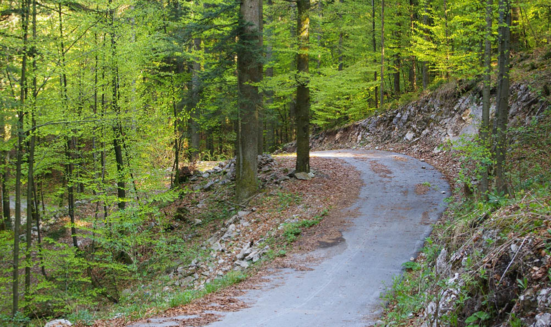 Pijaničevo - Delnice Bike&Hike